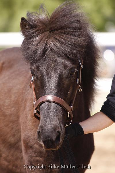 Alvar fra Stora Hofi (2).JPG